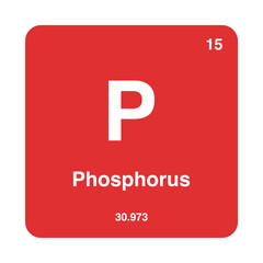 periodic vector phosphorus isolated on transparent background
