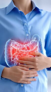 Digestive insight: organ profile, bowel screen, colon focus, imaging session, abdominal reflection, gut layer, pathology sign, medical lens, internal shape, disease marker, structural exposure.