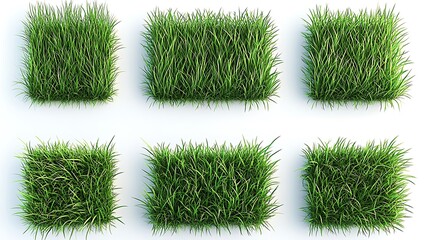 Set of Lush Green Grass Rendered in 3D, Isolated on White Background