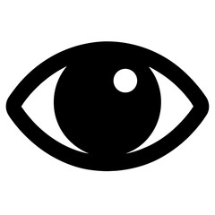 Anatomy of vision A simple eye symbol for eyesight or awareness