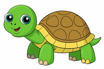 tortoise vector on white background