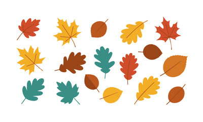 Colorful Autumn Leaves Collection