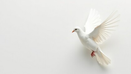 Obraz premium Soft, pure white dove feathers against a pristine white background Perfect for peace, purity, and serenity themes , design, elegance