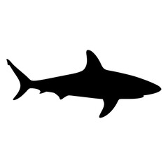 Striking silhouette of a powerful shark swimming gracefully through the water