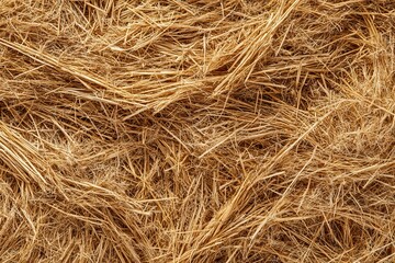 close-up texture of dry hay