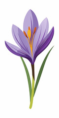 Naklejka premium Vibrant Purple Crocus Flower Illustration Isolated on White