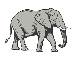 Elephant Vector Silhouettes and Detailed Walking Elephant Illustration – Wildlife Animal Icons for Safari, Zoo, Nature, and Conservation Design.
