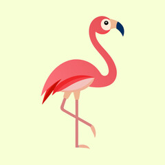 vector illustration of a flamingo