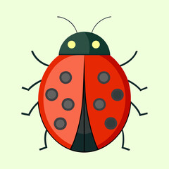vector illustration of a ladybug