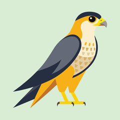 Stylized standing falcon illustration with black head and yellow feathers