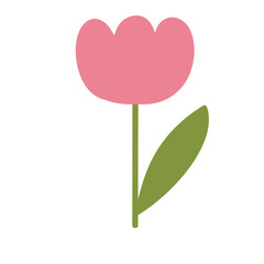 pink tulip with heart