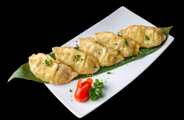 Gyoza dumplings with garnish on white plate