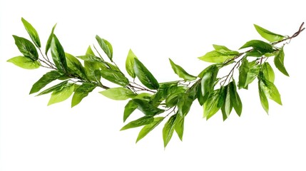 Fresh green leaves garland