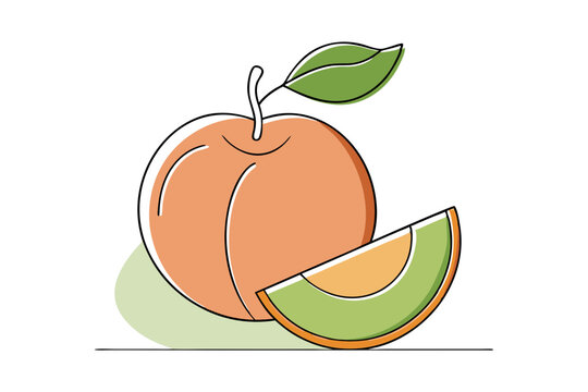 recommend clip art: Sliced peach fruit vector in flat line art