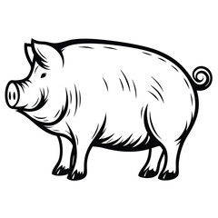 Black and White Line Art Pig, Standing Profile View, Farm Animal Illustration, Swine