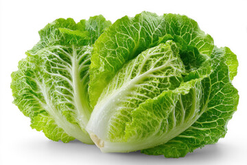 Fototapeta premium Fresh romaine lettuce heads ready for cooking or salad preparation in a kitchen setting