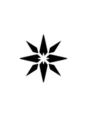 Obraz premium black and white star shaped ornament