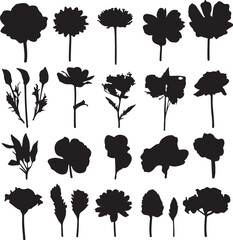Obraz premium Flower Silhouettes Collection: Black Floral Vector Illustrations