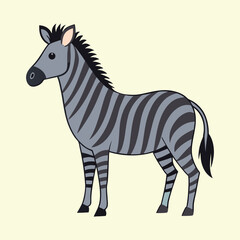 zebra vector illustration