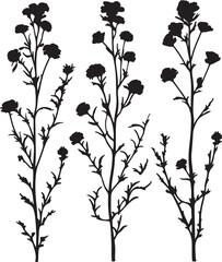 Silhouette Floral Stems Vector Art, Black and White Botanical Design
