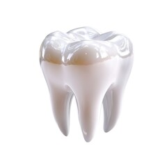 Close up of a molar tooth isolated on white background