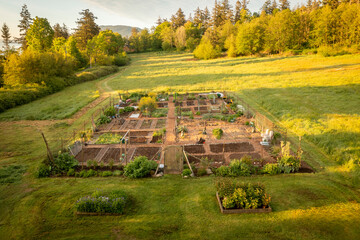 Aerial view of a Community garden located on an island in the Pacific Northwest. Beautiful morning light illuminates a garden area set aside on a land preserve in the Salish Sea area of Washington.