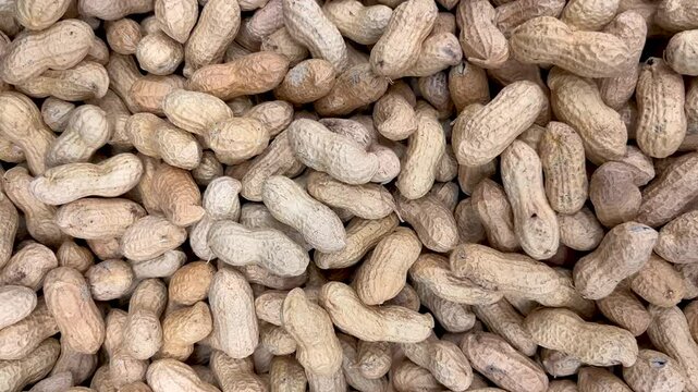 Peanut in shell textured food background, tracking shot in top view on peanuts