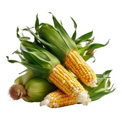 Obraz premium Pile of fresh corn cobs isolated on white background