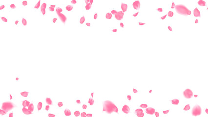 Banner realistic rose petals valentine isolated element vector illustration for holiday party, celebration