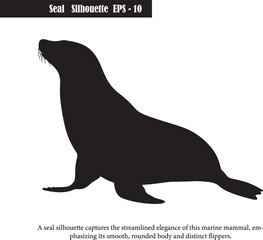 Seal Silhouette – Elegant Marine Mammal Wildlife Art