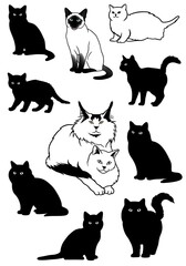 Feline Silhouettes: A Whiskered Collection AI Generated