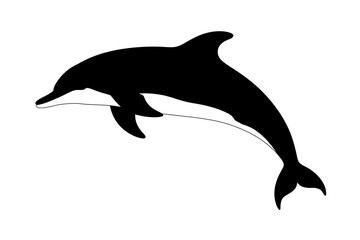 Dolphin silhouette ocean animal marine mammal vector