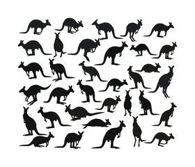 Fototapeta premium Kangaroo Silhouette Vector Icons Set – Standing, Jumping, Grazing, Australian Wildlife Animal Graphics .
