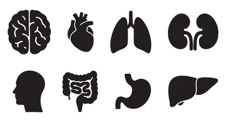 Minimal Human Organs Silhouette Set – Flat Black Medical Anatomy Symbols
