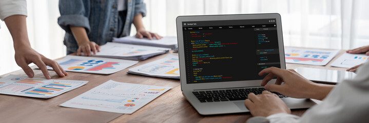 Software development programming on computer screen for brisk application and program coding