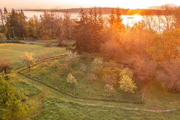 Aerial springtime view of an apple orchard with blossoming apple trees. Beautiful morning light illuminates this orchard as spring takes over with a promise of a bountiful apple harvest.