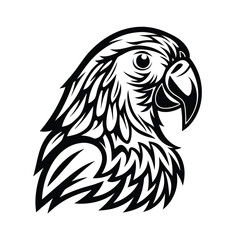 Black and White Parrot Head Detailed Monochrome Illustration, Bird Portrait