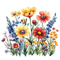 Fototapeta premium Vibrant watercolor illustration of various wildflowers, including poppies and daisies, full bloom. colorful arrangement features shades of yellow, red, blue, and orange, creating lively