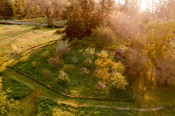 Aerial springtime view of an apple orchard with blossoming apple trees. Beautiful morning light illuminates this orchard as spring takes over with a promise of a bountiful apple harvest.