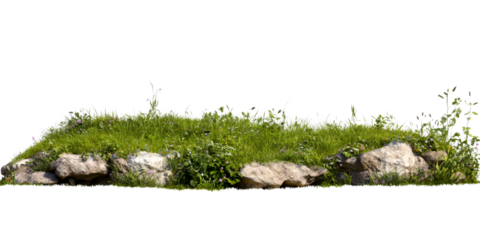 Grassy stone hill, flora and fauna ground level, cut out transparent
