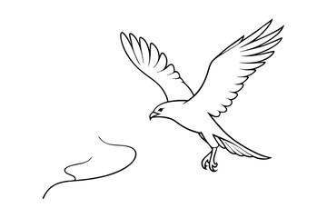 Fototapeta premium hawk diving bird of prey vector illustration