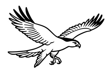 hawk diving silhouette hunting bird