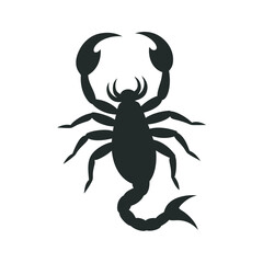 Zodiac Symbol Scorpio Mystical Scorpion Minimalist Art