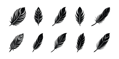set of vector feathers silhouette on white background