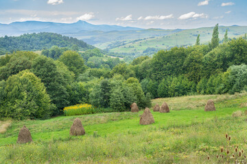 Scenic Carpathian landscape with green hills, haystacks, and forested valleys under a blue sky. Peaceful view of Ukrainian countryside in late summer.