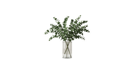 Fototapeta premium Eucalyptus bouquet in clear glass vase