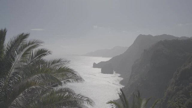 Tropical coastline of Madeira with palm trees and misty cliffs above Atlantic Ocean (SLOG3)
