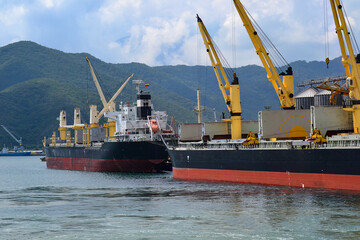 Busy Port Scene with Cargo Ships and Yellow Cranes in a Coastal Harbor