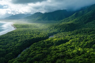 Explore lush greenery and stunning landscapes of Daintree Rainforest National Park in Australia from above, Australia Daintree Rainforest National park aerial view landscape Coast travel