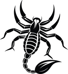 Scorpion silhouette, scorpion isolated on white background